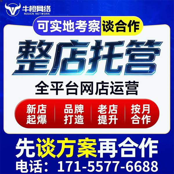 大兴安岭电商代运营