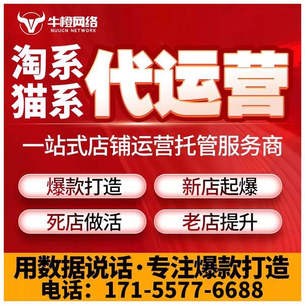 大兴安岭电商代运营